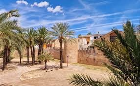 Servicio de carretillas elevadoras en Alzira